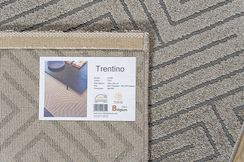 特倫堤諾素色刻紋地毯~7131-41046(背面)