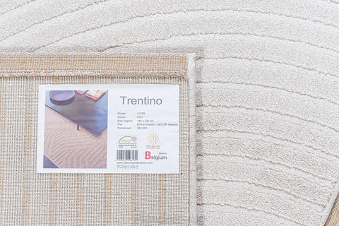 特倫堤諾素色刻紋地毯~6161-41059(背面)