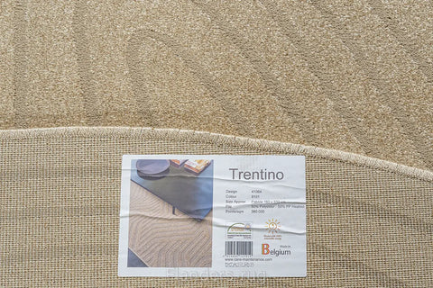 特倫堤諾素色刻紋不規則形地毯~9191-41064(背面)