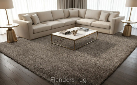 光譜極簡風細絲長毛地毯~3333-80001黑金(情境)