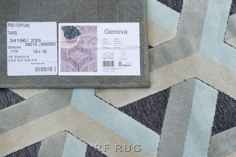 吉諾瓦立體浮雕厚絲毯~38515-695950共構(背底)