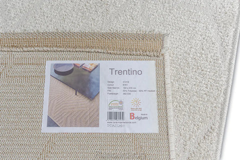特倫堤諾素色刻紋地毯~41018-6161(背面)