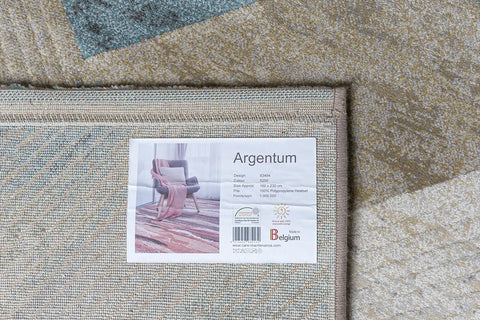 古銀百萬針高密度現代地毯~63484-5250彩貼(背面)
